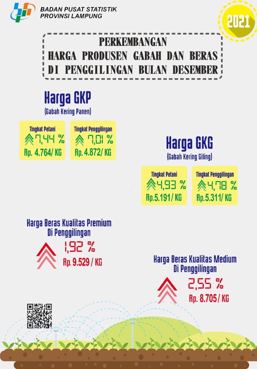 Petani Di Lampung Nikmati Kenaikan Harga Gabah Dan Nilai Tukar